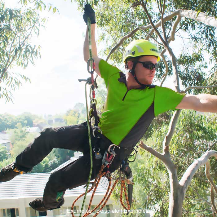 Personne en casque vert et t-shirt vert suspendue à un arbre avec du matériel d’escalade et des cordes