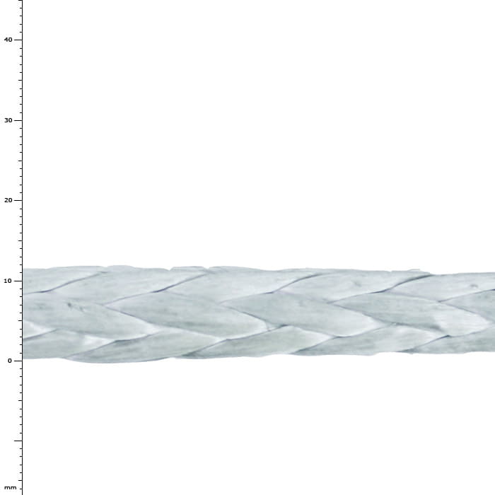ArboLine 8 t, corde tressée blanche, nom du produit visible