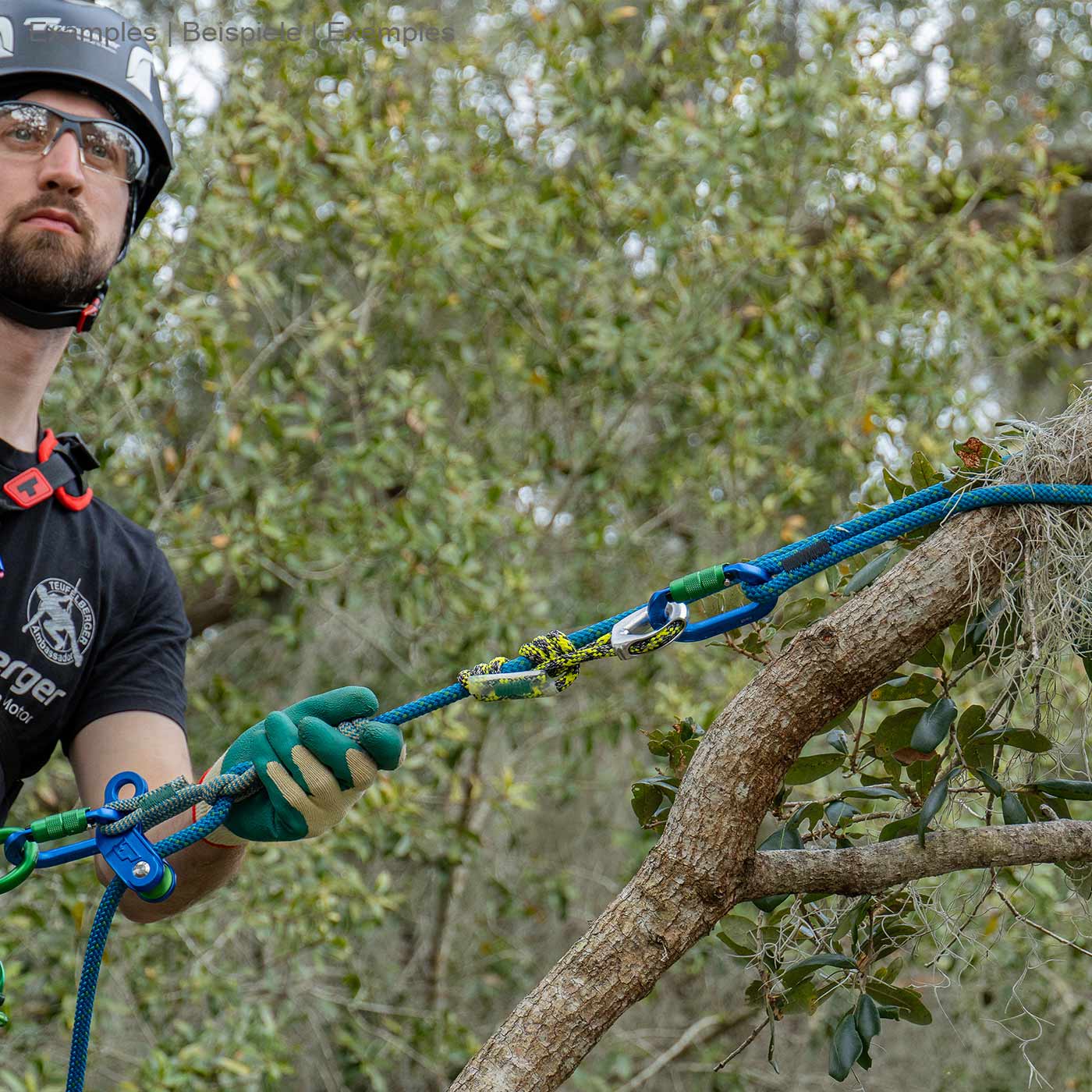Homme avec casque et gants tirant une corde bleue hipSTAR Glide 11.5 attaché à une branche d’arbre entourée de verdure
