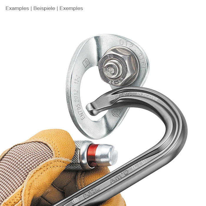 Coeur Bolts 12 Stainless