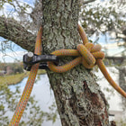 Manille noire CE Quickie avec boulon argenté attaché à un tronc d’arbre à travers lequel passe une corde orange-vert, à l’extérieur avec fond flou