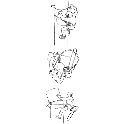 Dessin en noir et blanc avec trois grimpeurs sur un arbre, l’un tenant un bâton jaune, un autre une scie et le troisième un rouleau de papier