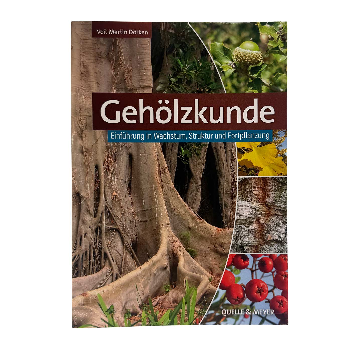 Dendrologie