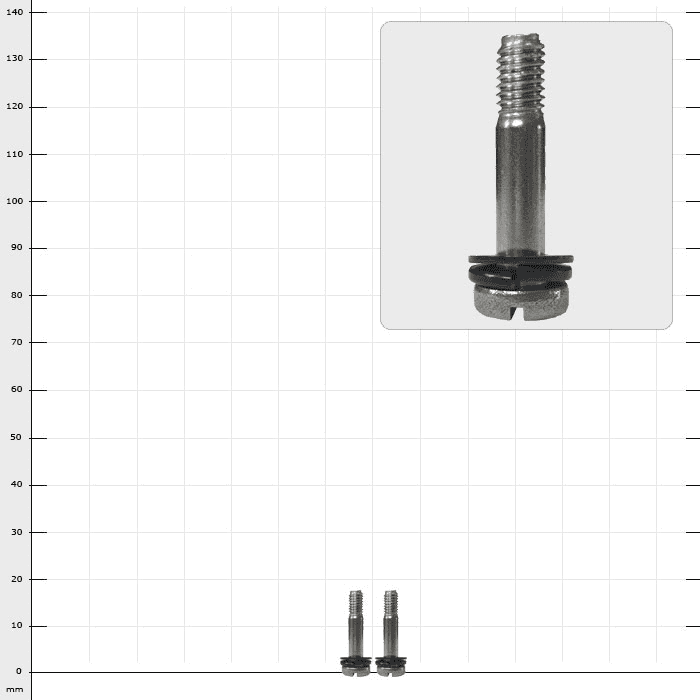 Le jeu de vis Longboy A montre deux vis courtes en argent avec une bague d’étanchéité noire et une fente à la tête, à côté d’une vue unique agrandie d’une vis identique.