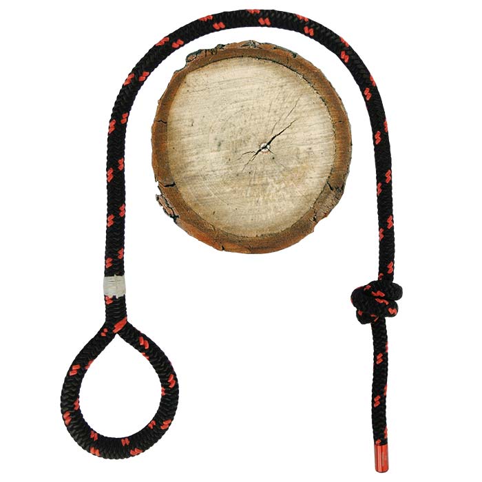 ÉpissureUne corde noire à points rouges, formée en boucle, se trouve à côté d’un morceau rond de disque de bois