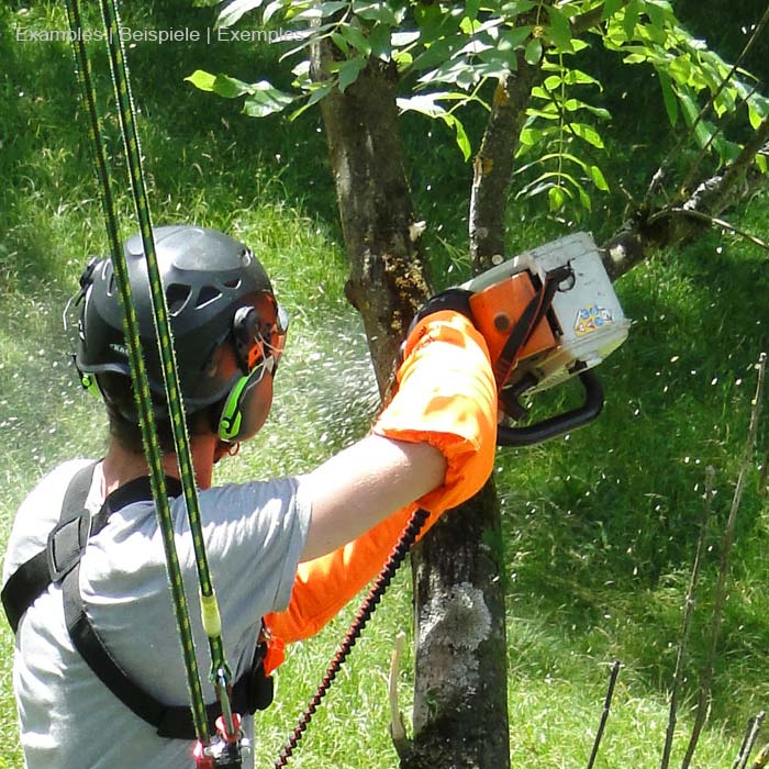 Personne avec casque de sécurité et gants orange utilisant une tronçonneuse sur un arbre, la longe antiSHOCK Tool est attachée au bras et visible