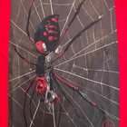 Gros plan de l’imprimé araignée sur la chemise rouge ART Spider, l’araignée a des couleurs noires et rouges et se trouve sur une toile d’araignée blanche sur un fond sombre