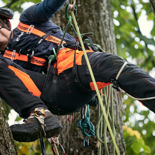 Technical Extreme Arborist