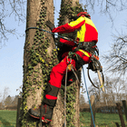 Personne en tenue de protection rouge et jaune grimpant à un arbre, portant des chaussures Arborist Xlight, équipement d’escalade visible