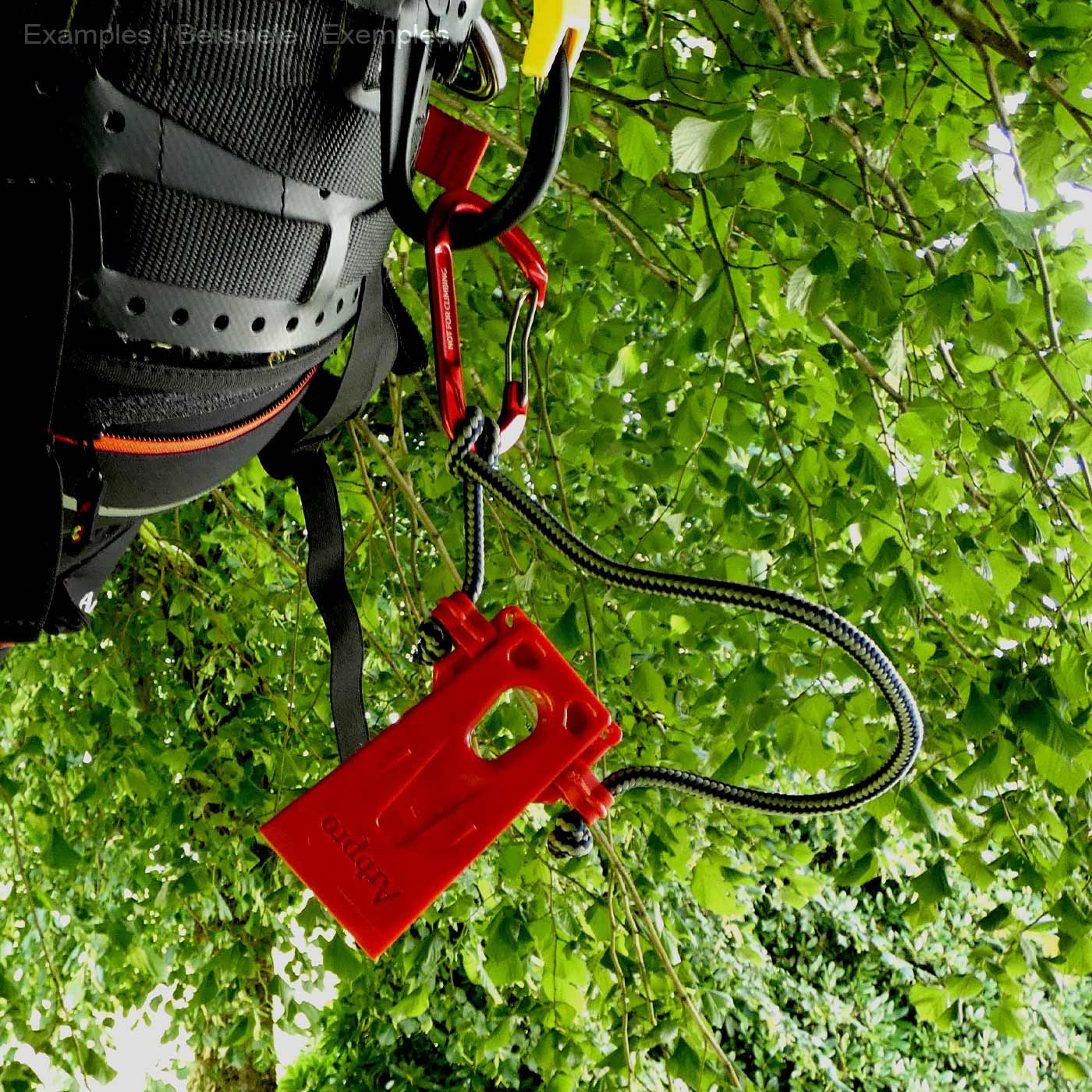 Arborist Micro Wedge par Arbpro, outil de coin en plastique rouge avec corde verte et mousqueton rouge, suspendu sur un harnais noir sur fond de feuillage vert