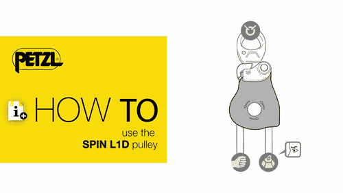 Spin L1D