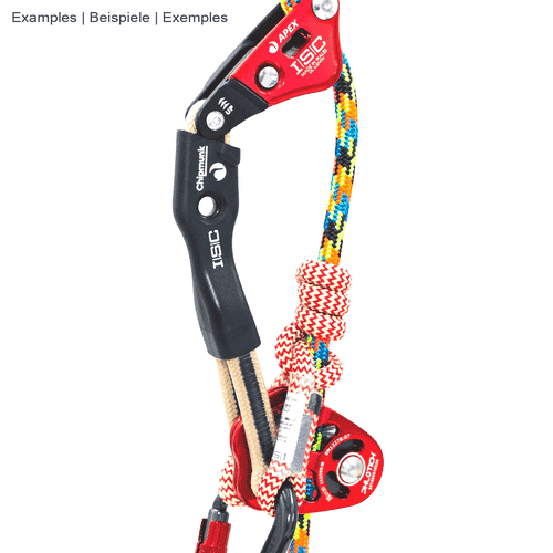 Chipmunk Flex Tether