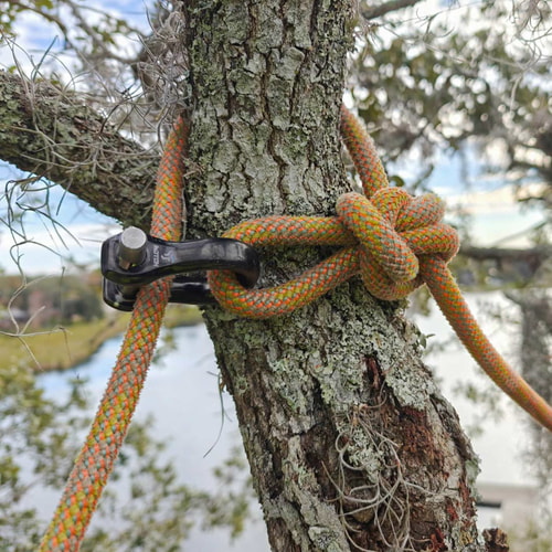 Manille noire CE Quickie avec boulon argenté attaché à un tronc d’arbre à travers lequel passe une corde orange-vert, à l’extérieur avec fond flou