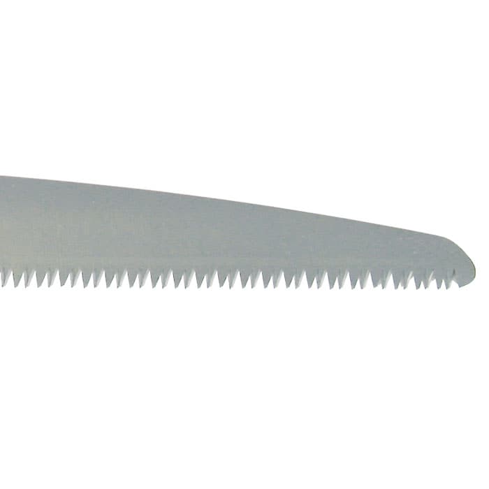 Lame de scie Gomtaro Root 240-8, métal gris avec dents fines sur le bord