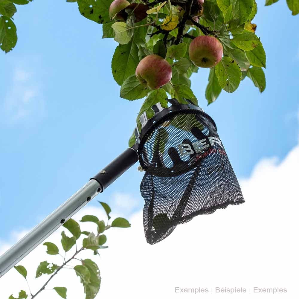 Cueilleur de fruits ArboRapid avec longue poignée, sac en filet noir et couronne en métal, branches avec des pommes rouges et un ciel bleu en arrière-plan