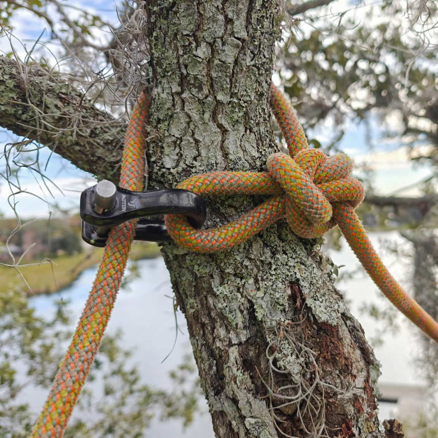 Manille noire CE Quickie avec boulon argenté attaché à un tronc d’arbre à travers lequel passe une corde orange-vert, à l’extérieur avec fond flou