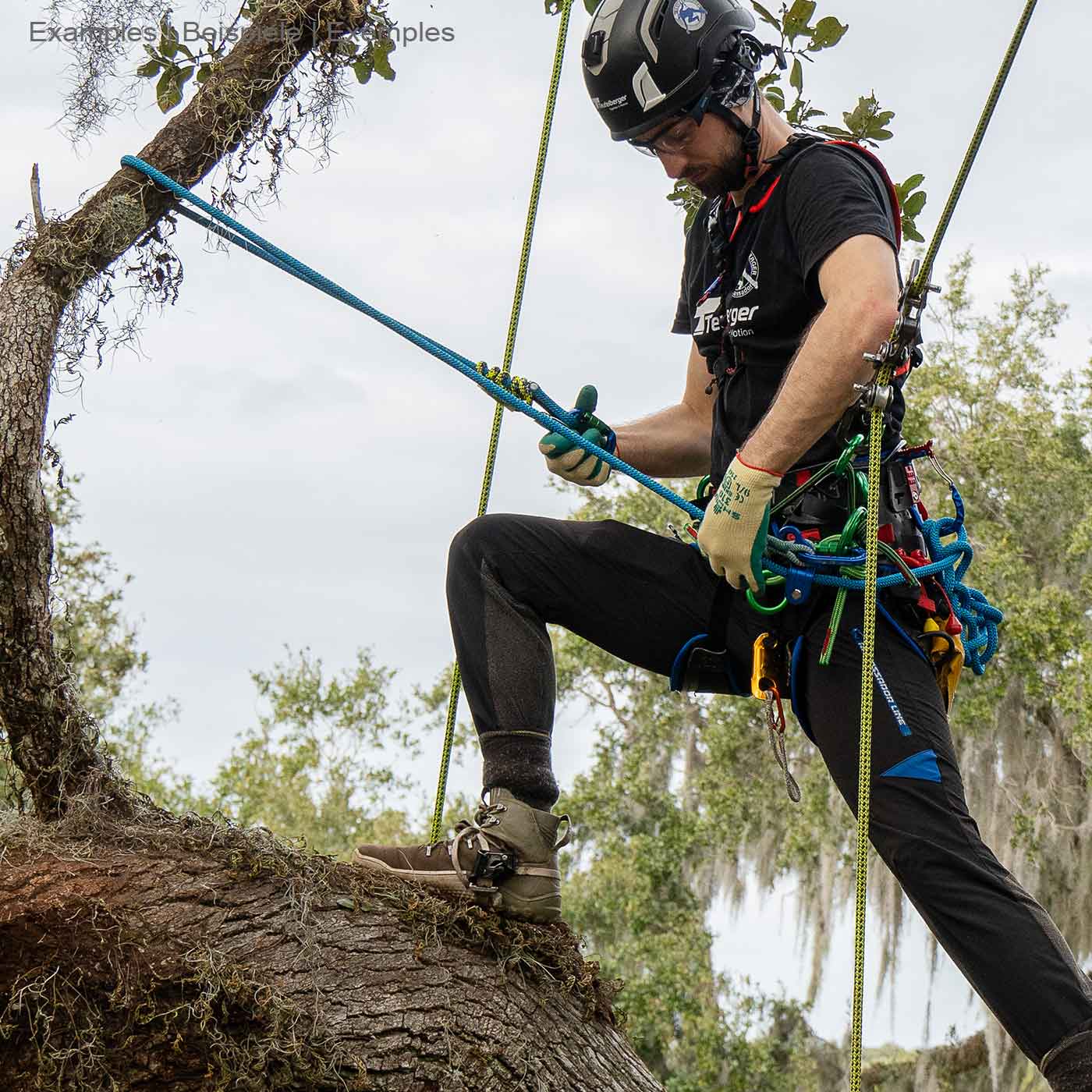 Homme avec casque et gants grimpant à un arbre, portant un t-shirt noir avec inscription, utilisant la corde bleue hipSTAR Glide 11.5