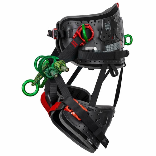 Harnais Kinisi Pro avec ceinture rembourrée noire, anneaux en métal vert et boucles rouges, vue latérale droite