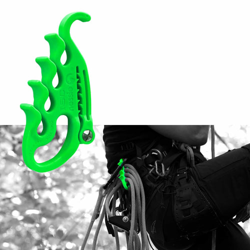 Nessie