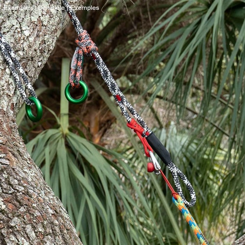 Matériel d’escalade avec cordes, mousquetons et anneaux métalliques verts sur un arbre, nom du produit non visible