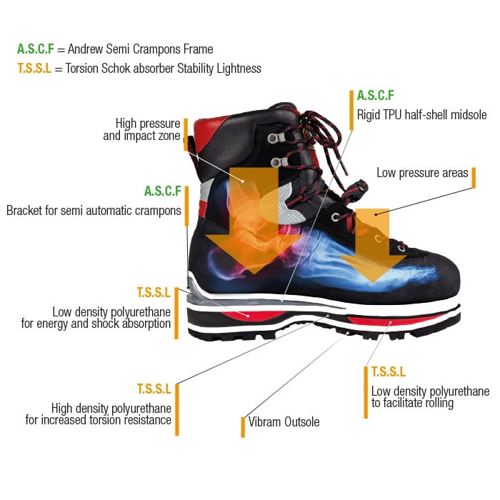 Illustration de la chaussure de montagne Cervino Wood EZloop par Andrew avec des inscriptions sur les matériaux et des détails techniques tels que A.S.C.F et T.S.S.L en différentes couleurs sur fond blanc