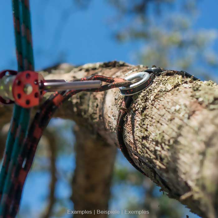 Corde noire et rouge avec anneau en métal et élément en plastique avec l’inscription SnakeTail, placée autour d’un tronc d’arbre