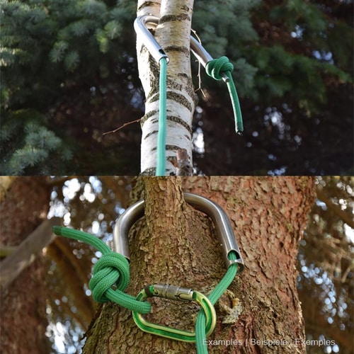 Deux photos montrées côte à côte avec un grappin métallique d’approche attaché à des troncs d’arbres avec une corde verte et un mousqueton, fond de forêt