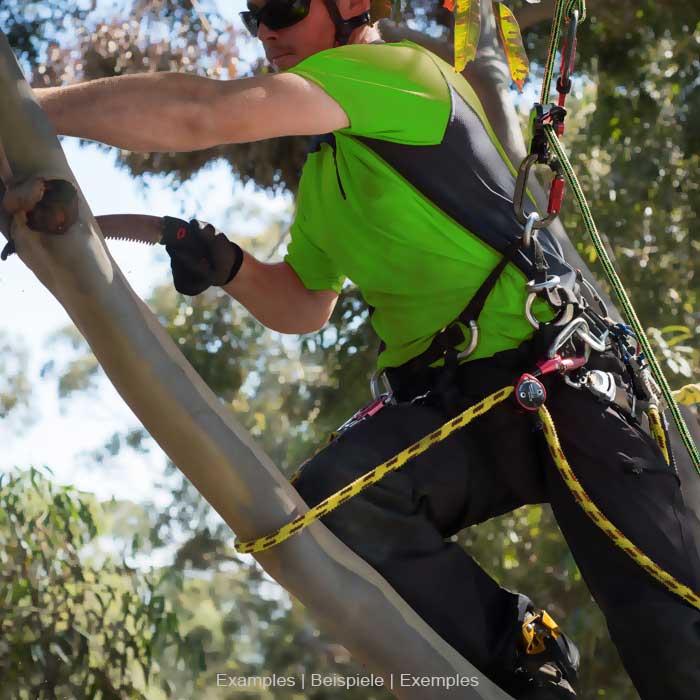 Personne en chemise verte et pantalon noir grimpant dans un arbre tout en portant le Positioner 2 de Climb Art