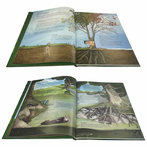 Vie sauvage dans les vieux arbres