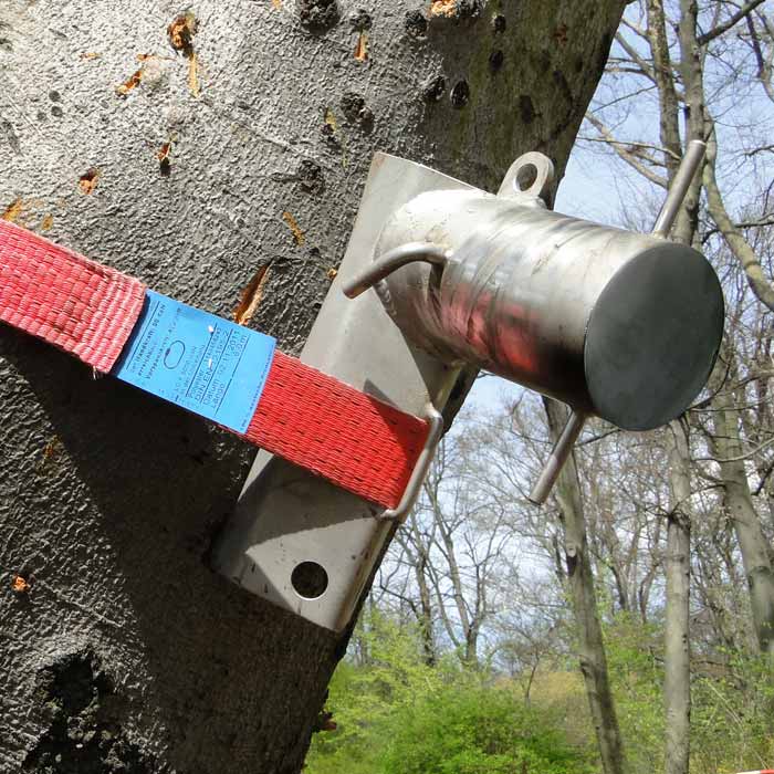 MiniBollard, borne, dispositif en métal gris attaché à un arbre avec ceinture rouge et étiquette bleue