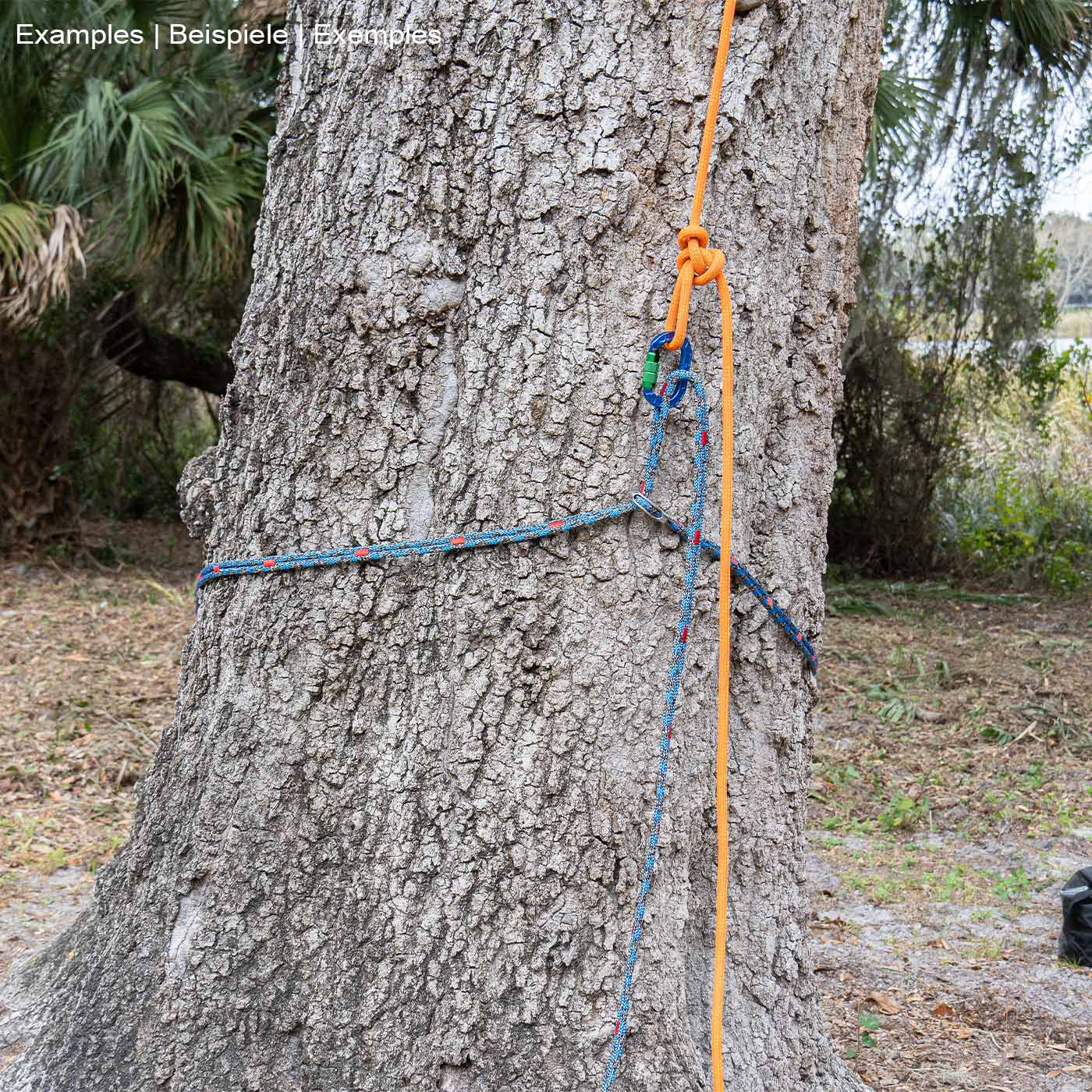 corde bleu-noir chainANCHOR avec marquages rouges et œillet métallique, enroulée autour d’un arbre attaché avec une corde orange et un mousqueton