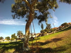 Doublesnapper 3