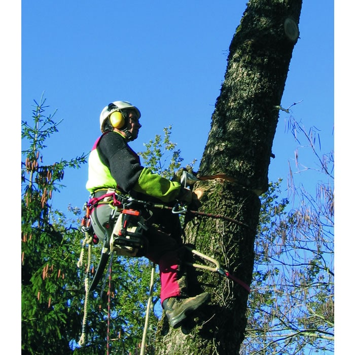 Personne en casque et vêtements de protection grimpant à un arbre entouré de branches vertes et de ciel bleu