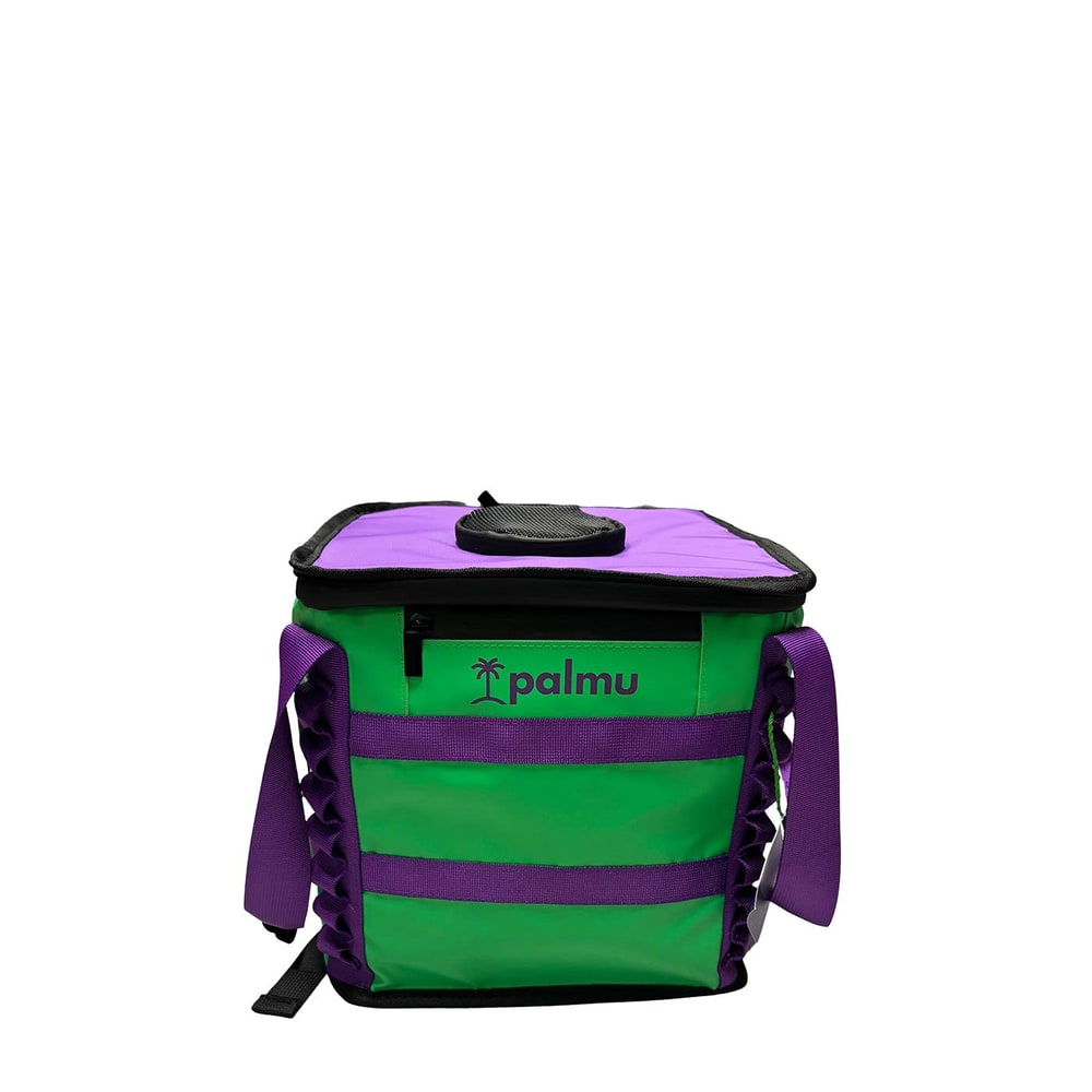 Palmu 17