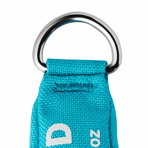 Détail de l’anneau en métal et de la languette en tissu bleu du poids Edelrid Apollo