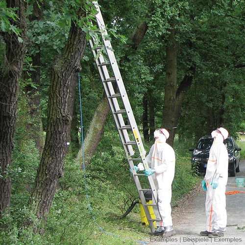 Deux personnes vêtues de combinaisons de protection EPS Guard blanches avec des rayures orange, des gants bleus et des masques de protection se tiennent à côté d’une échelle dans la forêt, des arbres et une voiture peuvent être vus à l’arrière-plan