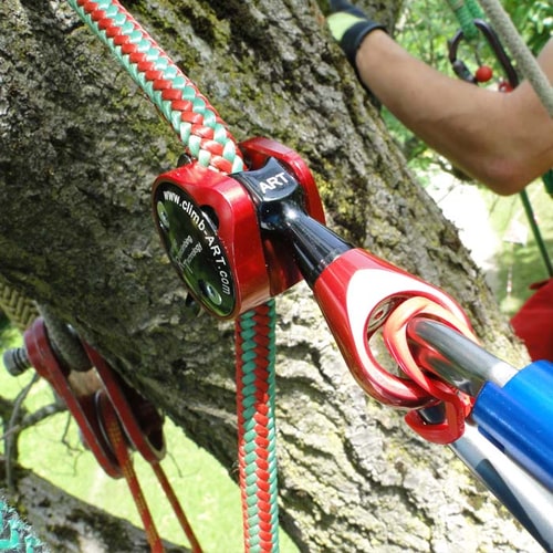 Positionneur 2 de Climb Art, positionneur d’escalade rouge et noir attaché à une corde tressée rouge et verte sur un arbre