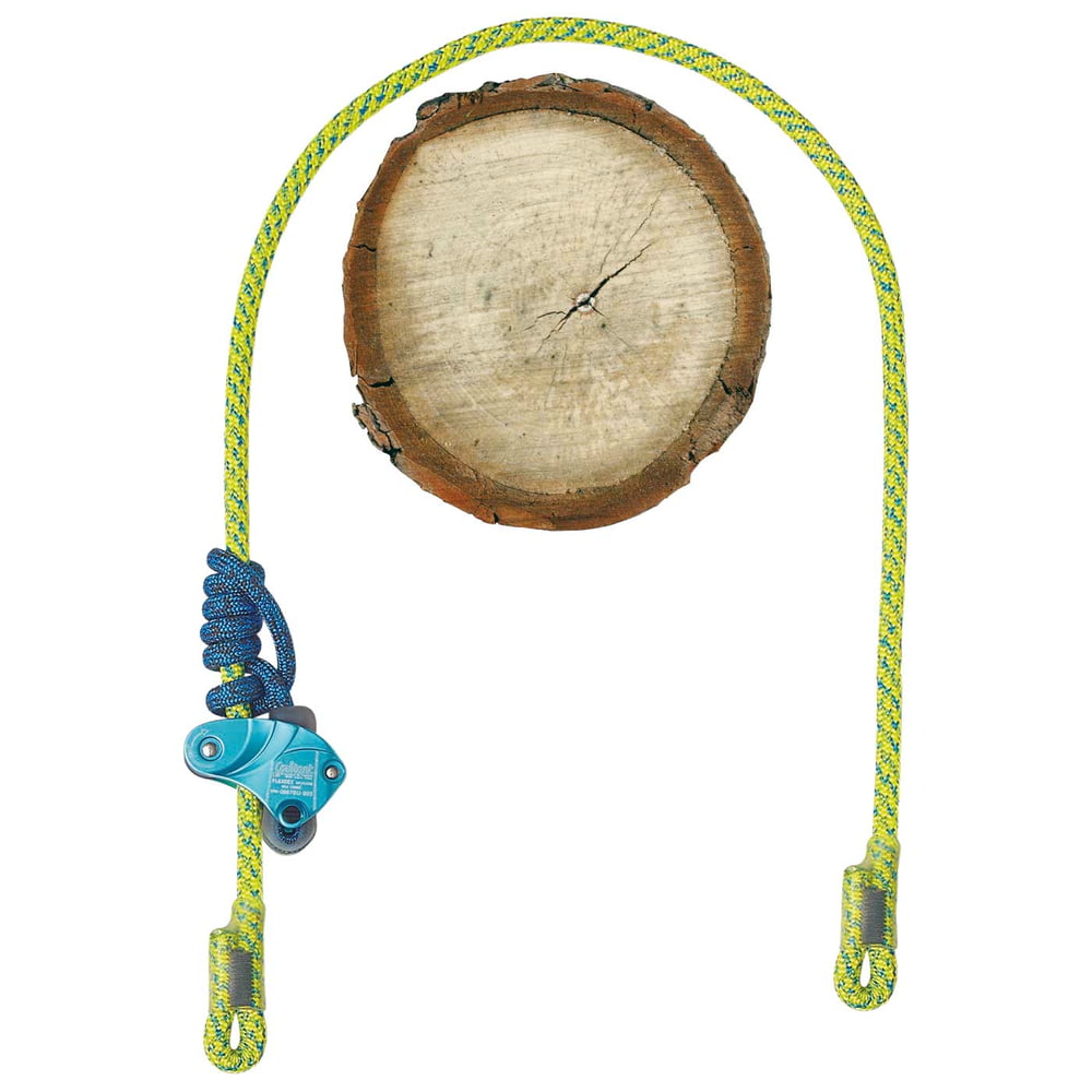 Corde Flexbee avec corde d’escalade bleu-jaune et dispositif d’assurage bleu, attachée à un tronc en bois