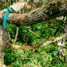 RC Grapple