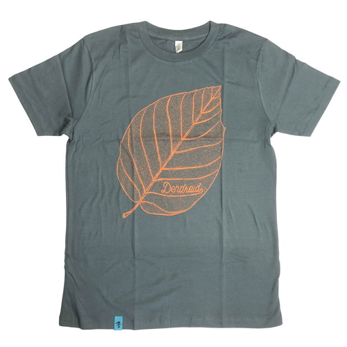 Skeleton Leaf