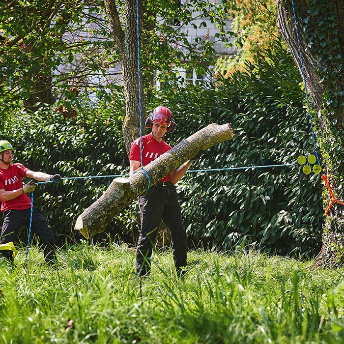 Deux personnes en vêtements de travail rouges et casques de sécurité portent un grand tronc d’arbre, en arrière-plan on peut voir le produit Hulk avec des cordes