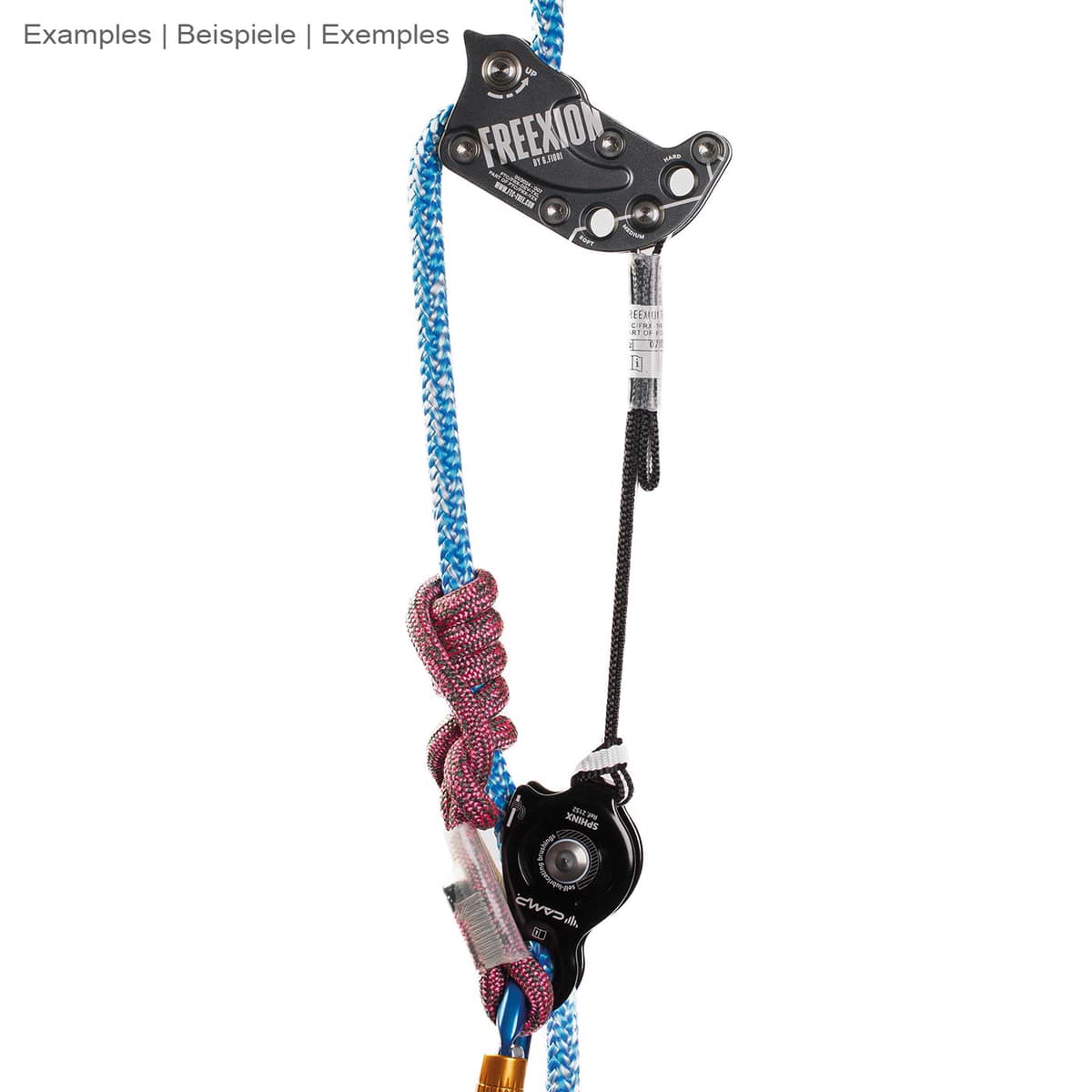 Freexion System Sphinx de CMP, monté sur une corde bleue avec corde et nœud rose-noir, l’aire de jeux noire est visiblement fixée avec des lettres blanches et un ruban noir avec boucle