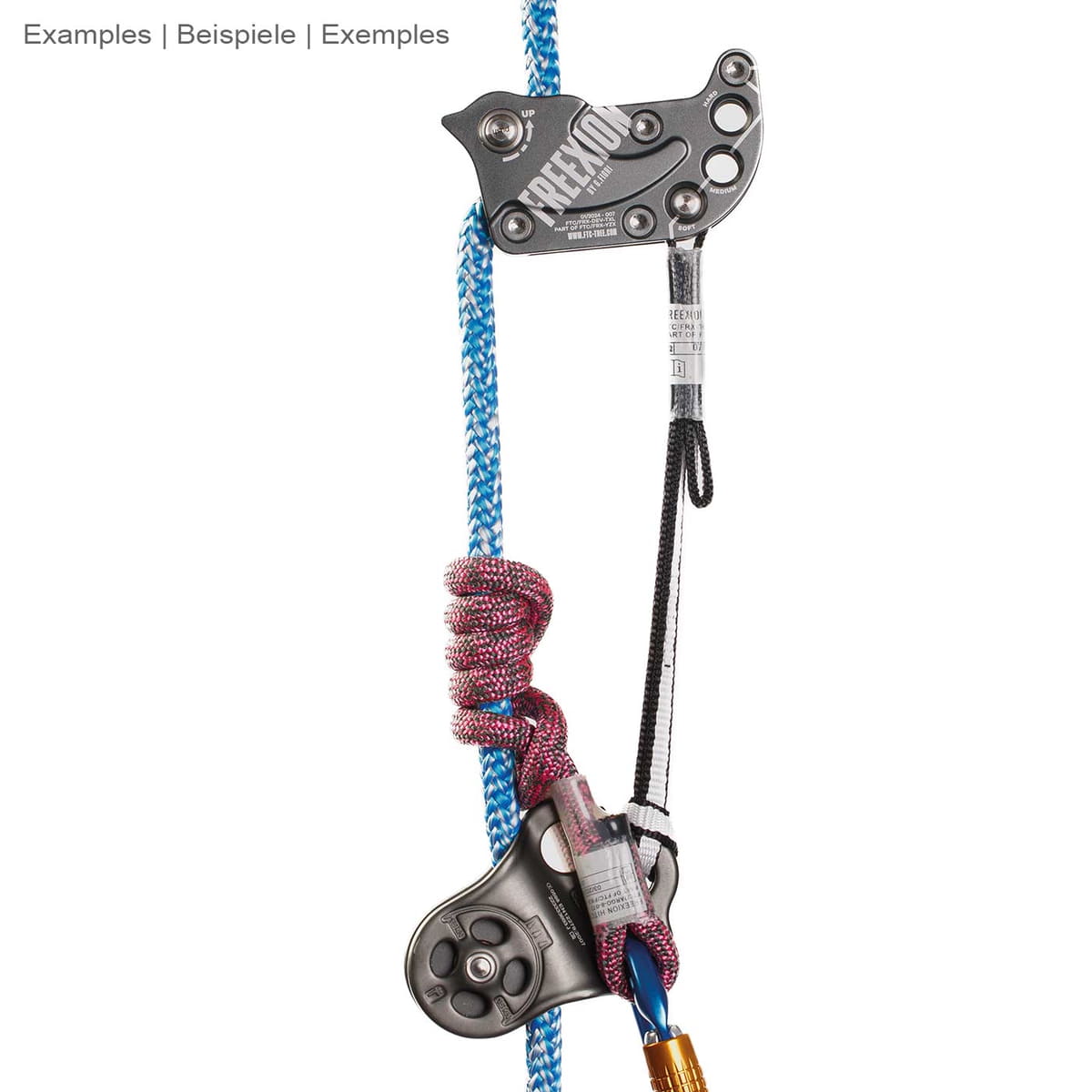 Auto-stop Freexion System Hitch Climber avec bloc métallique noir, corde bleue, corde rouge et corde noire, montée et reliée par une poulie noire et un mousqueton en métal