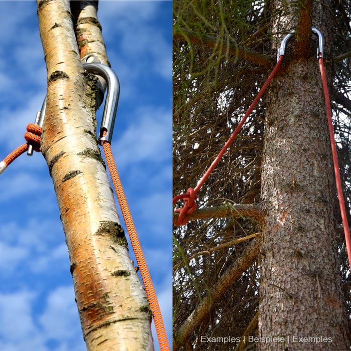Deux photos montrées côte à côte avec un grappin en métal Approach attaché à des troncs d’arbres avec une corde orange, ciel bleu en arrière-plan