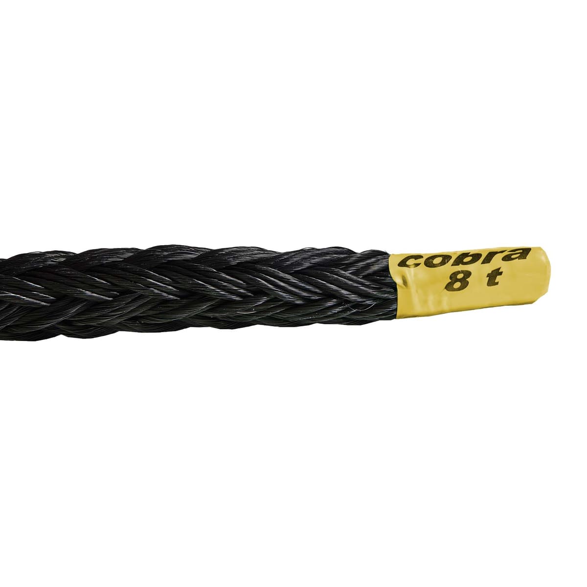 cobra 8 t Corde