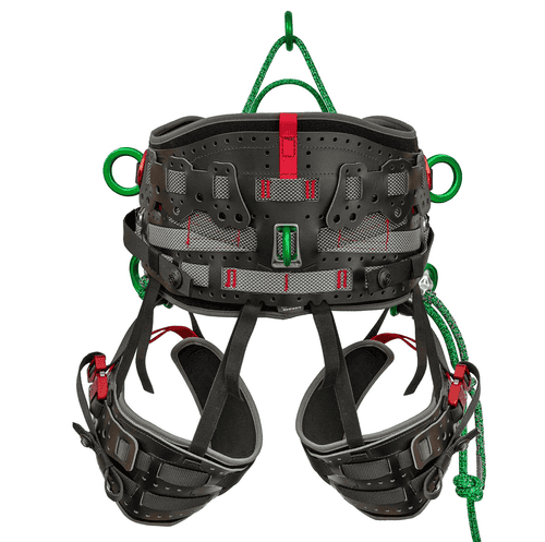 Ceinture de sécurité Kinisi Max vue arrière avec coussinets noirs et gris, anneaux métalliques verts et détails rouges