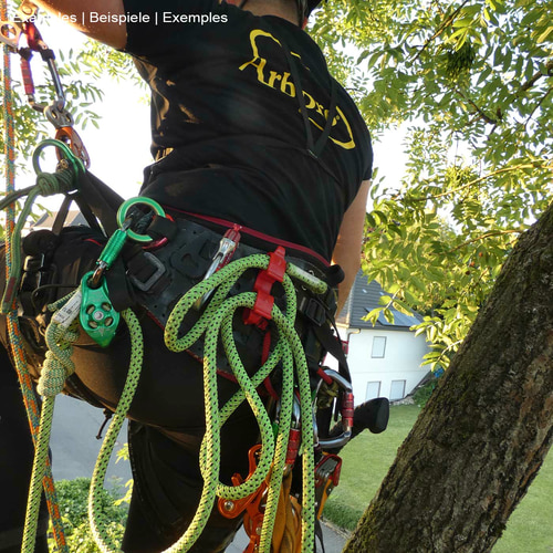 Clip en plastique rouge Buddy sur harnais d’escalade noir avec corde verte et bordure orange