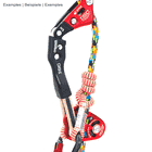 Chipmunk Flex Tether