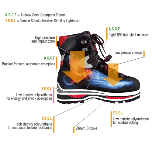 Illustration de la chaussure de montagne Cervino Wood EZloop par Andrew avec des inscriptions sur les matériaux et des détails techniques tels que A.S.C.F et T.S.S.L en différentes couleurs sur fond blanc