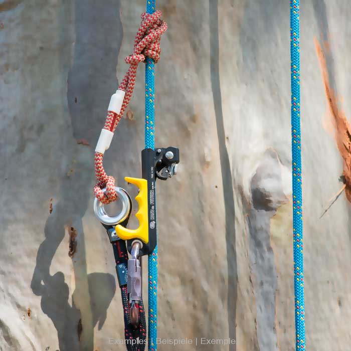 Corde noire et rouge avec anneau métallique et élément en plastique avec l’inscription SnakeTail, reliée à une corde bleue et à un dispositif d’escalade jaune et noir sur une écorce d’arbre